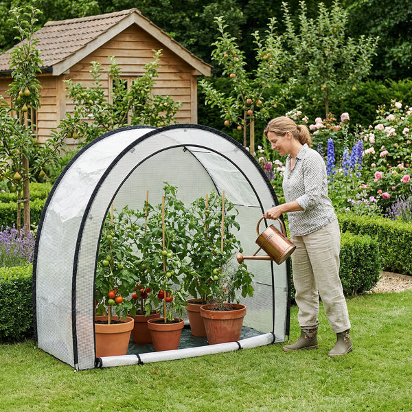 Tomatplantehus af folie Larshasas 180x80x170 cm Transparent [en.casa]