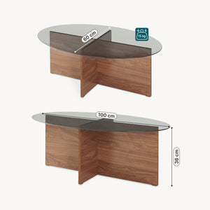 Sofabord Viroya 100x60x36 cm Valnødlook/Grå [en.casa]