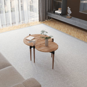 Sofabord Kristinestad med 2 bordplader natur [en.casa].