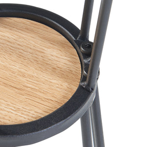 Fossbergom plantestativ med 2 hylder i sort/eg-look [en.casa].