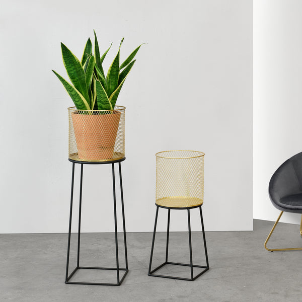 Urtepotteskjuler titmouse 2-delt sort-guld farvet en.casa