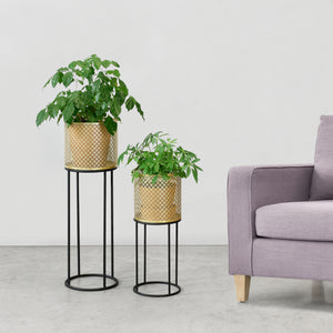 Urtepottestativ Messancy 2-delt sort-guldfarvet en.casa