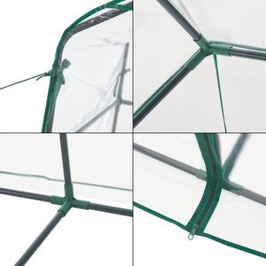 Hoorn drivhus med hylder 140x73x195cm Transparent [en.casa].