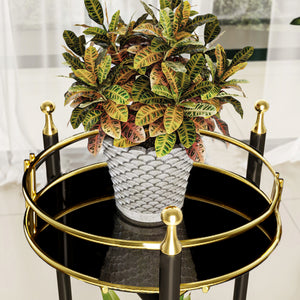 Blomstativ Oulainen 79x28x28cm Sort/Guld [en.casa]