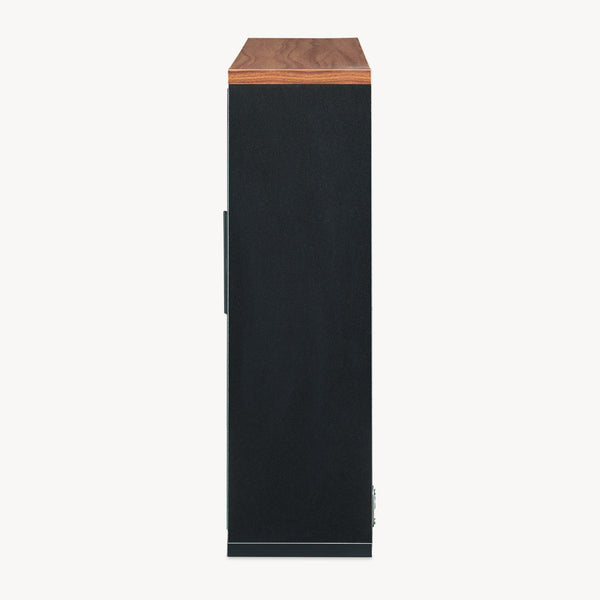 Spejlskab Trond 50x60x15 cm Sort/Valnøddeudseende [en.casa]