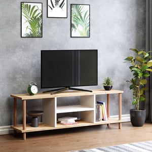 TV-bord Ærøskøbing med 2 opbevaringsrum 43x120x29 cm forskellige farver [en.casa] - premiumXL