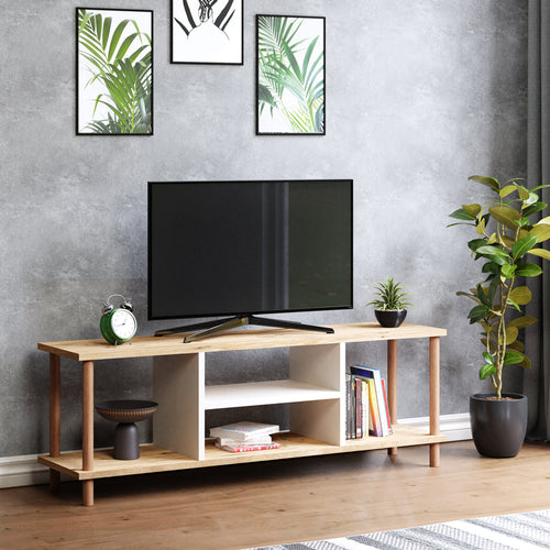 TV-bord Ærøskøbing med 2 opbevaringsrum 43x120x29 cm forskellige farver [en.casa] - premiumXL