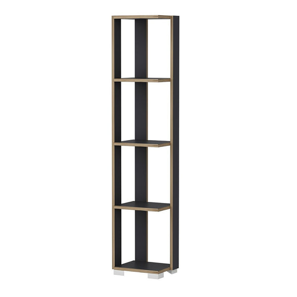 Aalestrup reol med 4 niveauer 153 x 34 x 26 cm i forskellige farver. farver [en.casa]