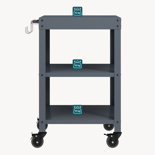 Udendørs serveringsvogn Bolognano stål 81x50x50 cm [casa.pro]
