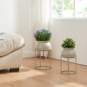 Blomsterstand Assen [en.casa]