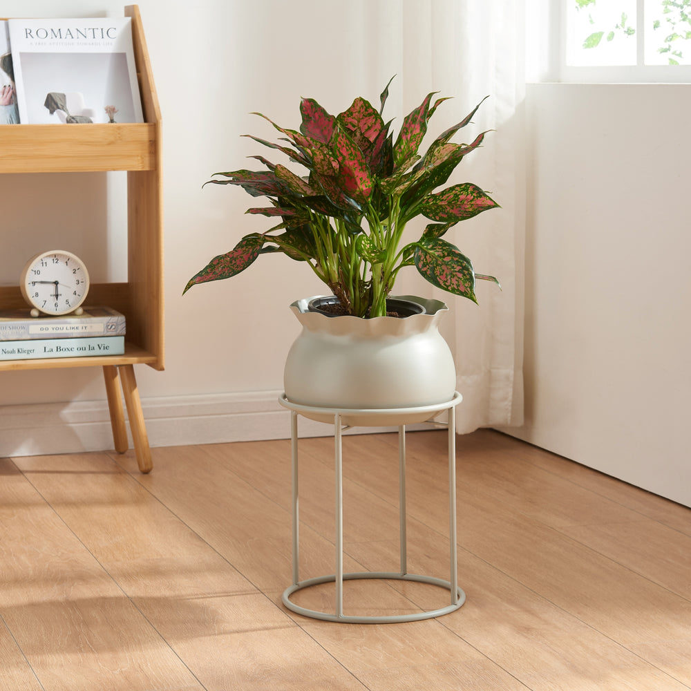 Blomsterstander Assen [en.casa] - premiumXL